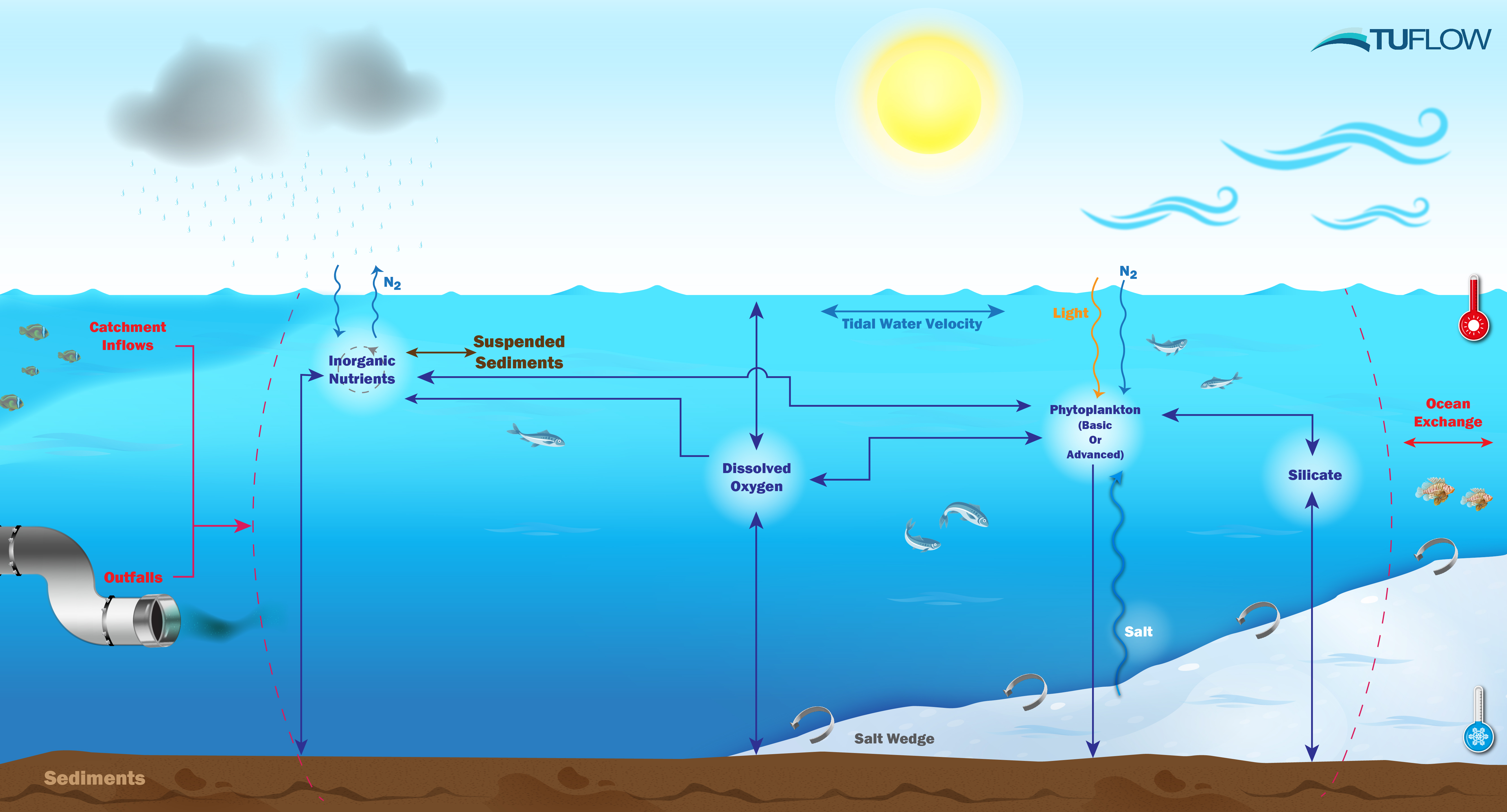 **Simulation Class: Inorganics (as an estuarine example)**